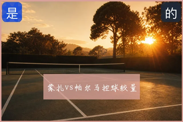 蒙扎vs帕尔马控球较量